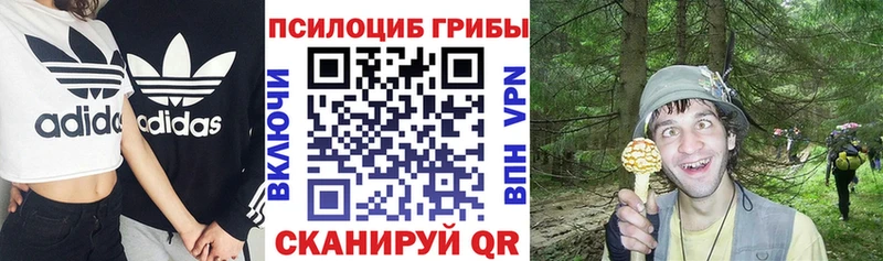 где найти наркотики  Агидель  Галлюциногенные грибы MAGIC MUSHROOMS 